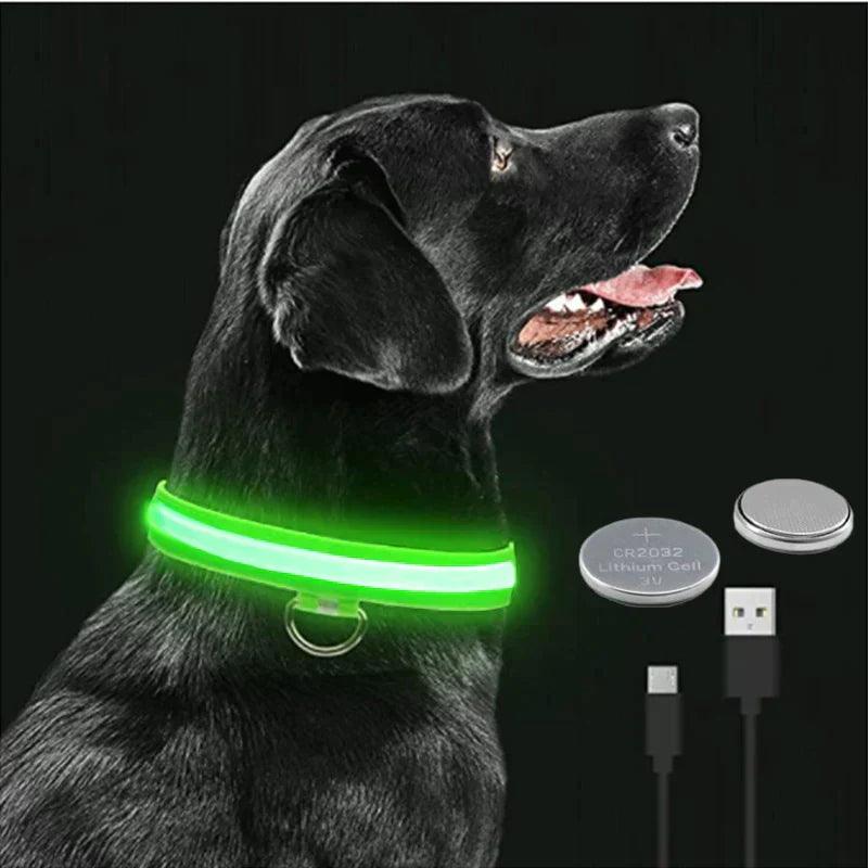Coleira  LED - pets